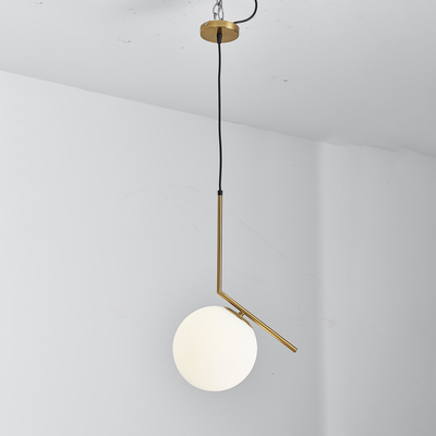 Dekoracyjne lampy sufitowe LED z pojedynczą głowicą do hotelu / domu