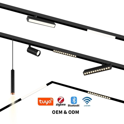 Inteligentne 220V Wysokonapięciowe Liniowe Światło Powodziowe LED Domowe światło magnetyczne